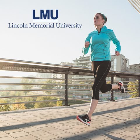 This image portrays Lincoln Memorial University by Make Me Modern.